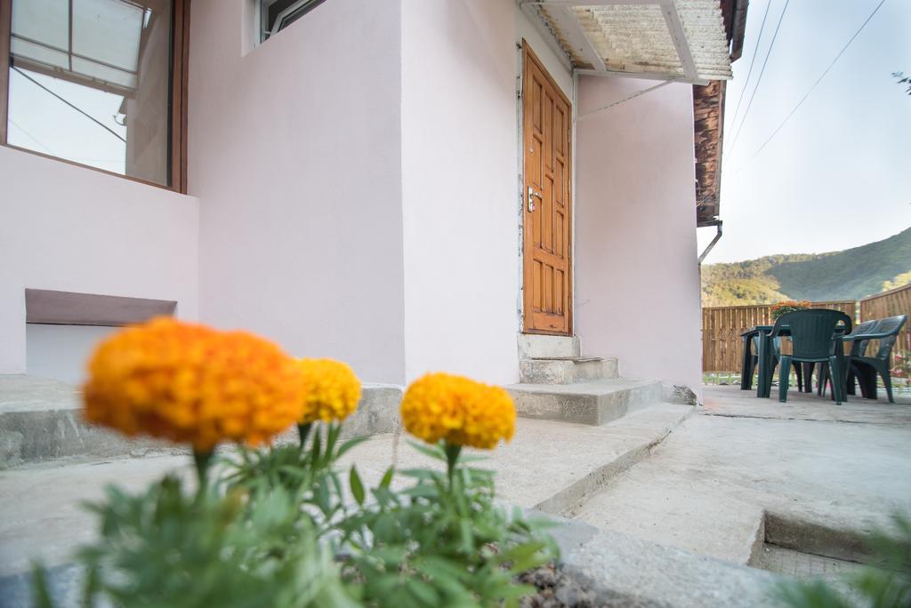 Belvedere Old City Brasov Exterior photo